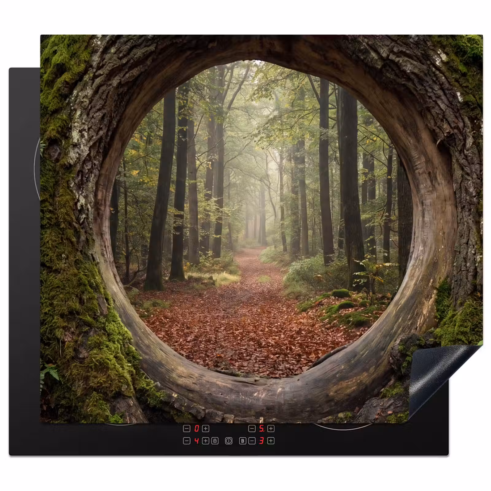 Herdabdeckplatte - Baum – Wald – Natur — 1