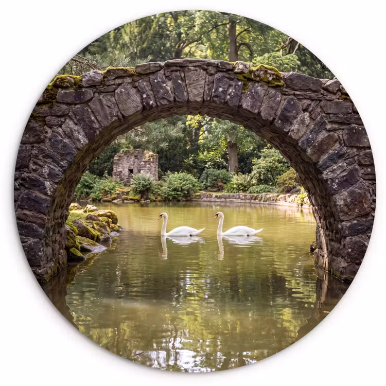 Forexbild Rund - Vogel – Wasser – Natur — 1