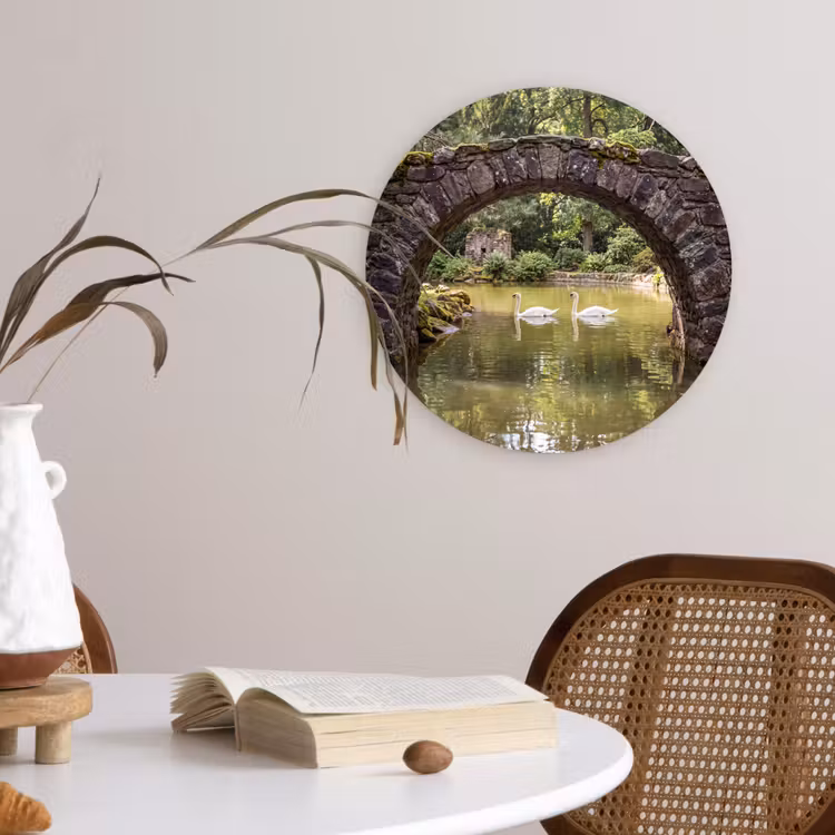 Forexbild Rund - Vogel – Wasser – Natur — 4