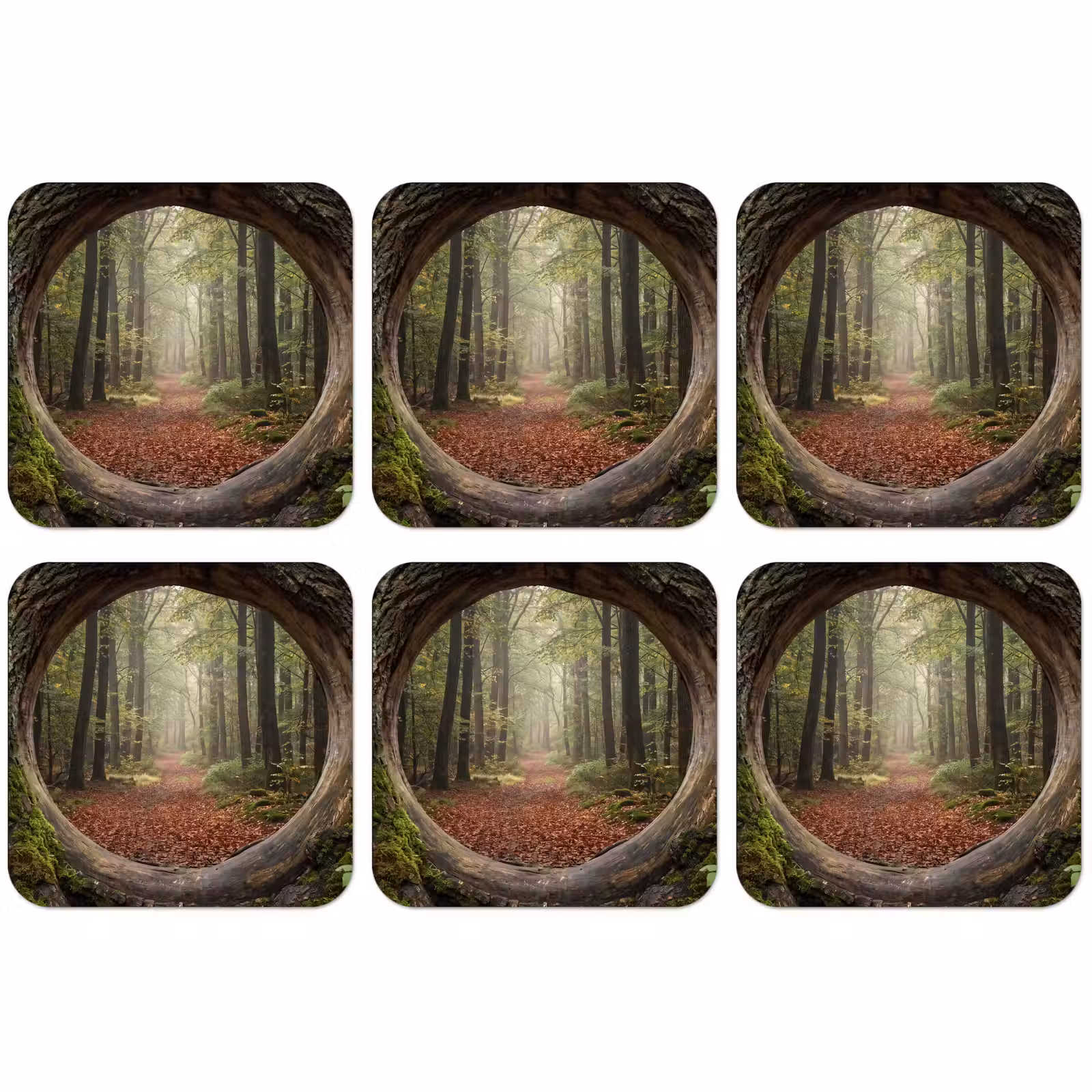 Untersetzer - Baum – Wald – Natur — 1