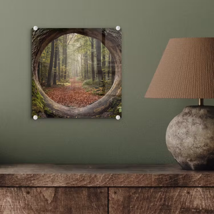 Glasbild - Baum – Wald – Natur — 4