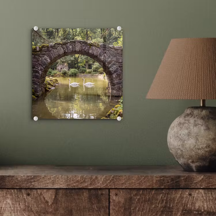 Glasbild - Vogel – Wasser – Natur — 4