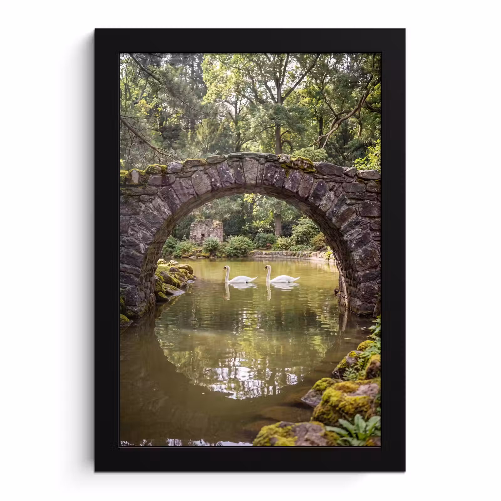 Bilder mit Rahmen - Vogel – Wasser – Natur — 1