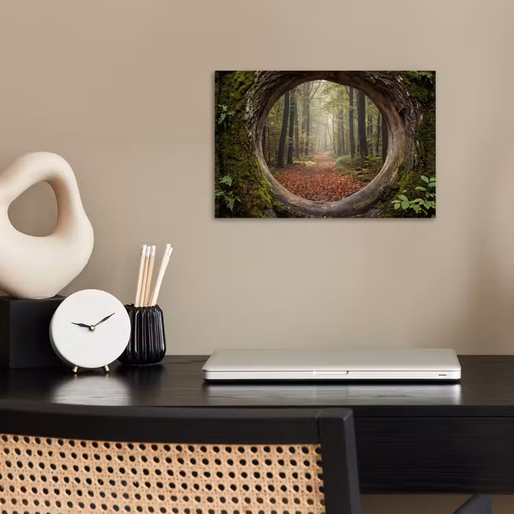 Poster - Baum – Wald – Natur — 2