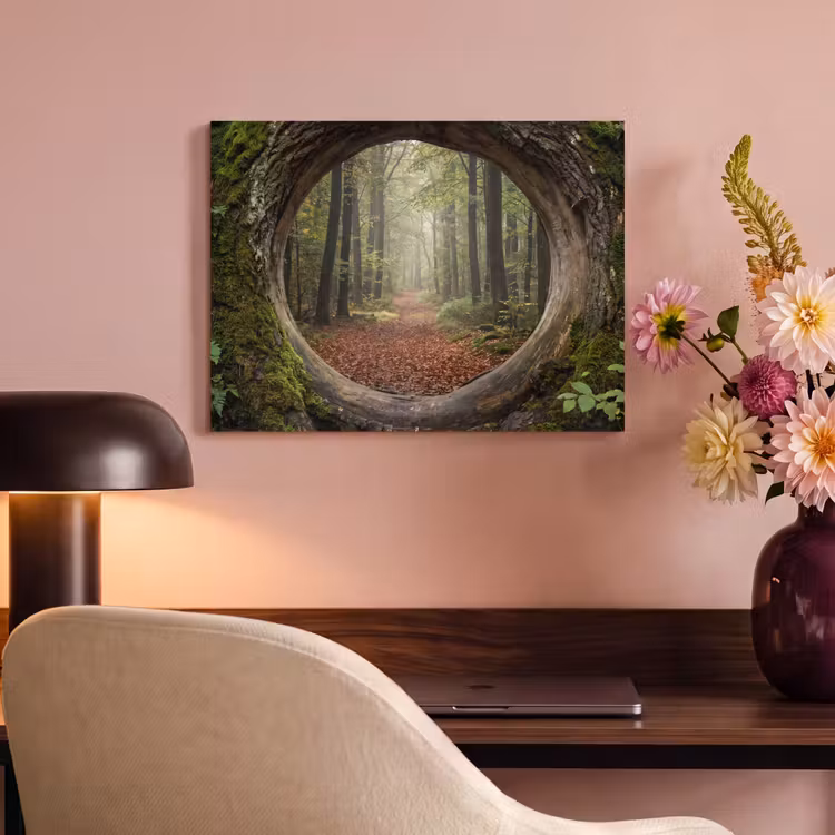 Akustikbild - Baum – Wald – Natur — 6