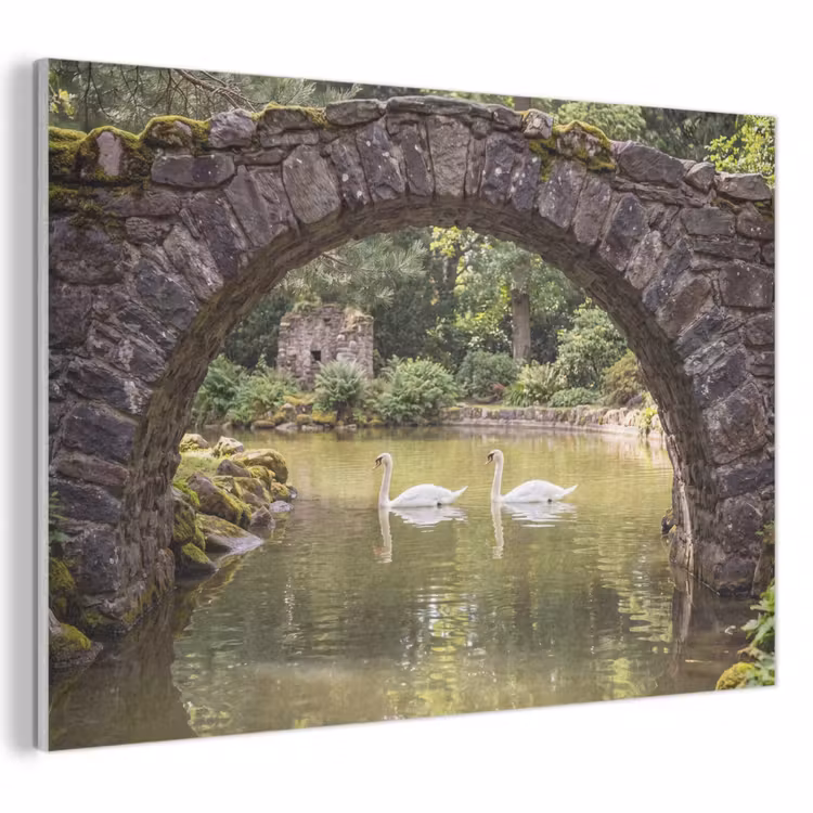 Akustikbild - Vogel – Wasser – Natur — 1