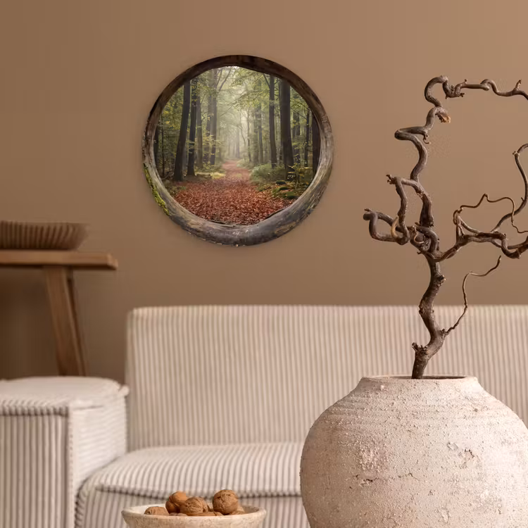 Glasbild Rund - Baum – Wald – Natur — 2
