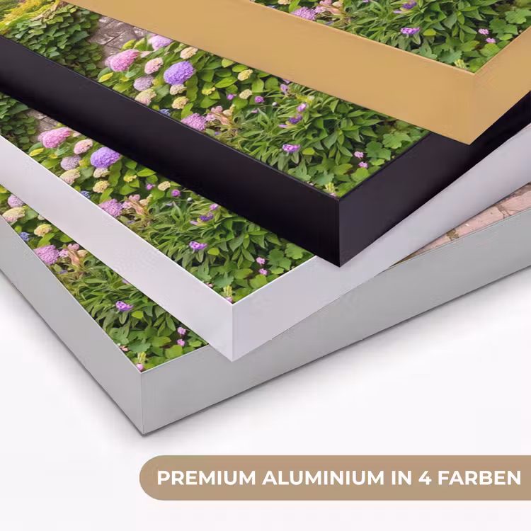 Art Frame - Garten – Blumen – Weg — 5