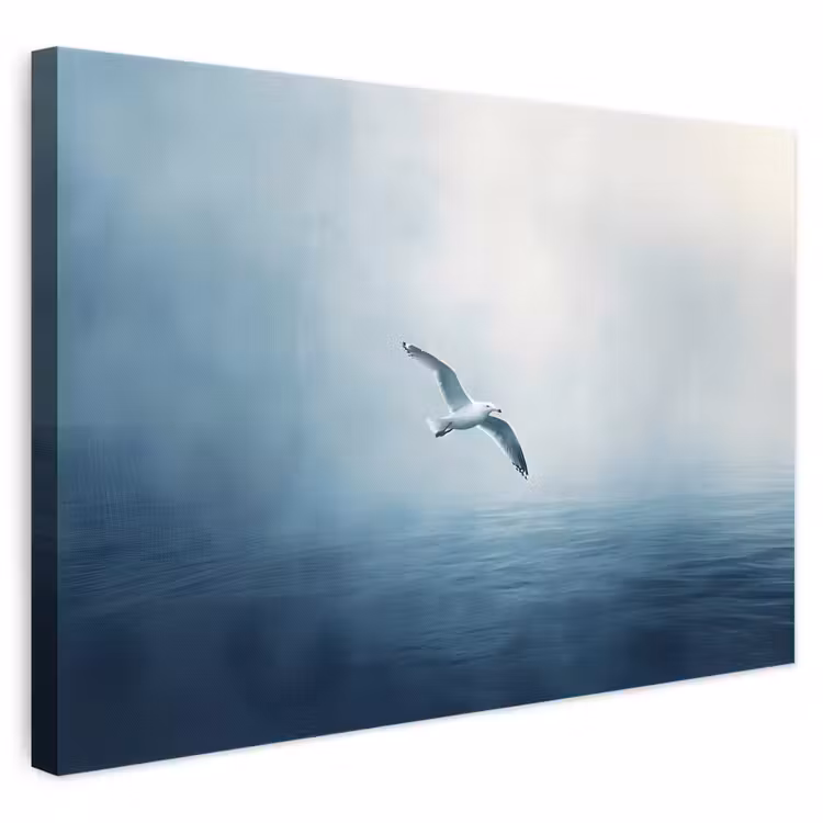 Leinwandbild - Möwe - Weiß - Meer - Neblig — 1