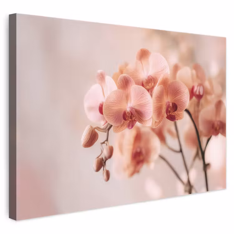 Leinwandbild - Orchidee - Blumen - Rosa - Blütenblätter — 1