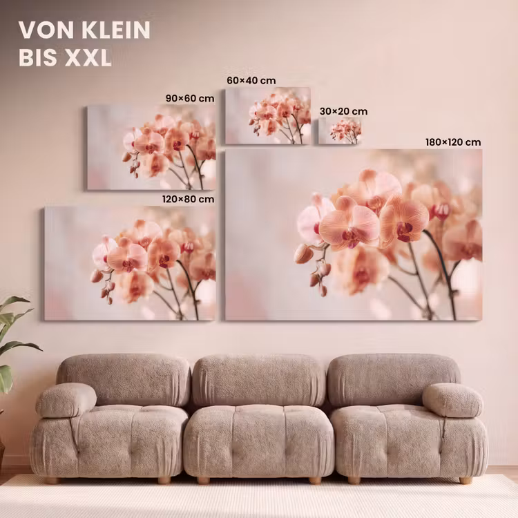 Leinwandbild - Orchidee - Blumen - Rosa - Blütenblätter — 6