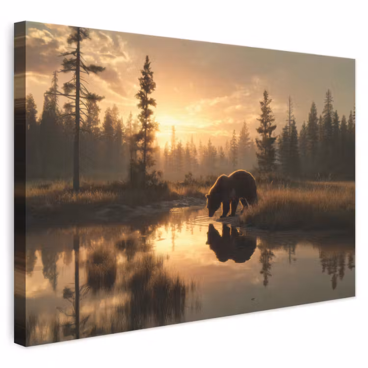 Leinwandbild - Bär - Wasser - Wald - Morgenlicht — 1