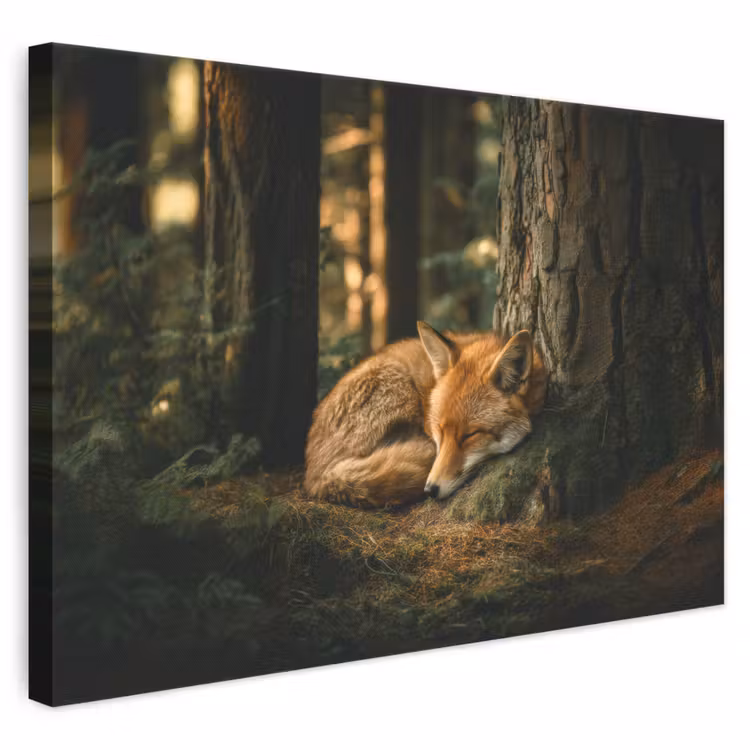 Leinwandbild - Fuchs - Wald - Schlaf — 1