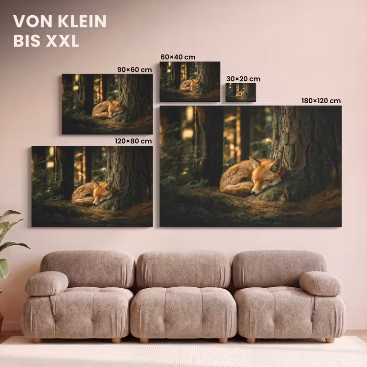 Leinwandbild - Fuchs - Wald - Schlaf — 6