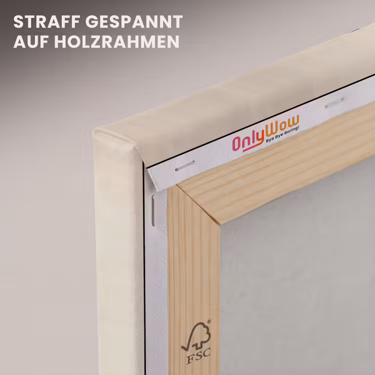 Leinwandbild - Kreise - Abstrakt - Farbenfroh — 5