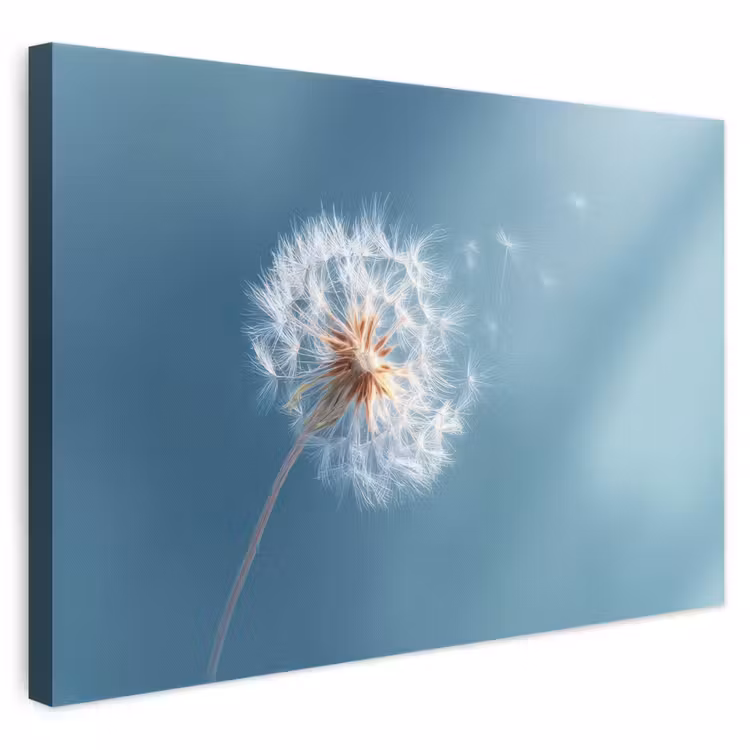 Leinwandbild - Löwenzahn - Wind - Blau — 1
