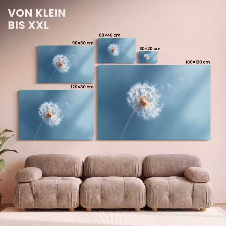 Leinwandbild - Löwenzahn - Wind - Blau — 6