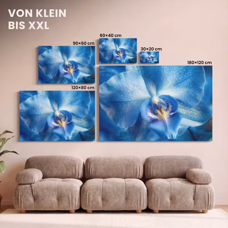Leinwandbild - Blau - Orchidee - Elegeant — 6