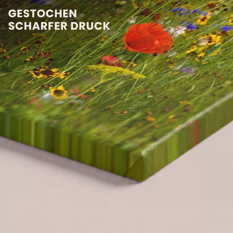 Leinwandbild - Frühling - Blumen - Rot - Mohn - Gras - Grün — 4