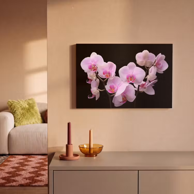 Leinwandbild - Orchidee - Blumen - Rosa - Flora — 2