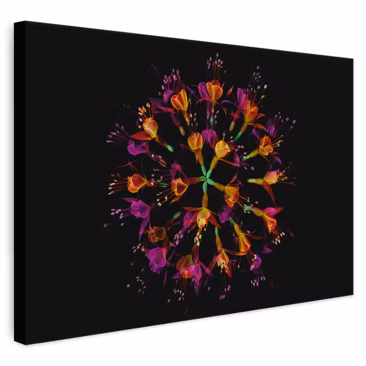 Leinwandbild - Blumen - Orange - Rosa - Schwarz — 1