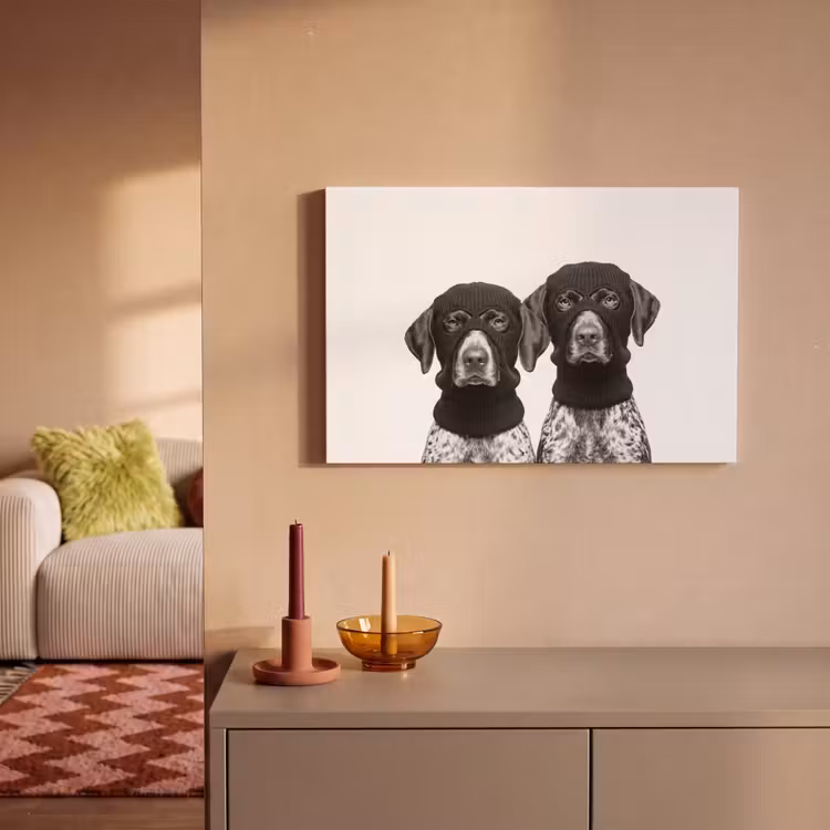 Leinwandbild - Hunde - Balaclava - Schwarz - Weiß — 2