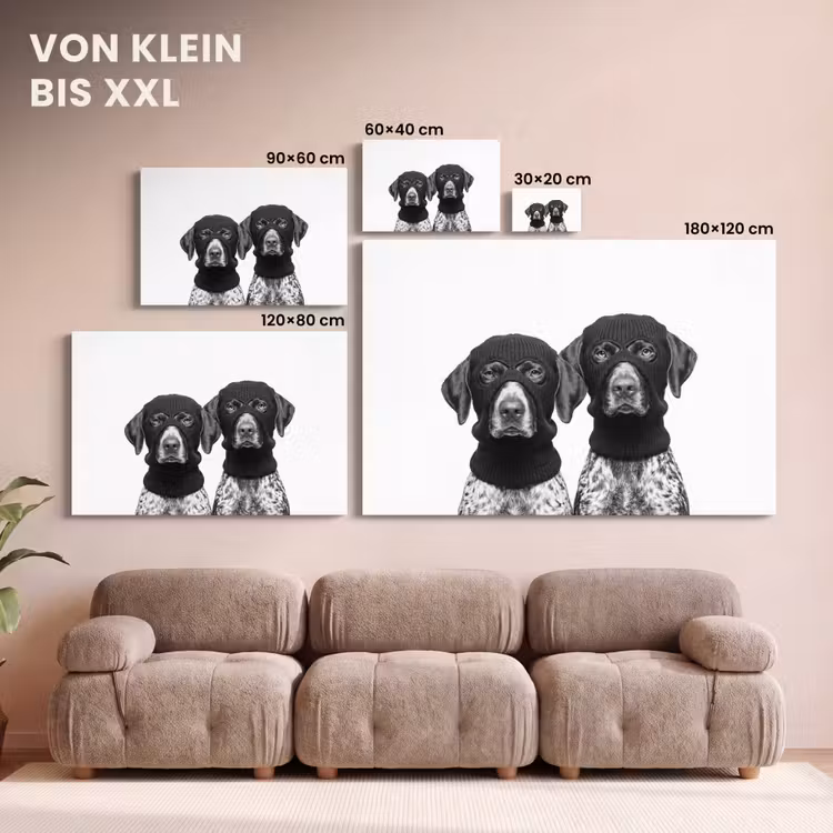 Leinwandbild - Hunde - Balaclava - Schwarz - Weiß — 6