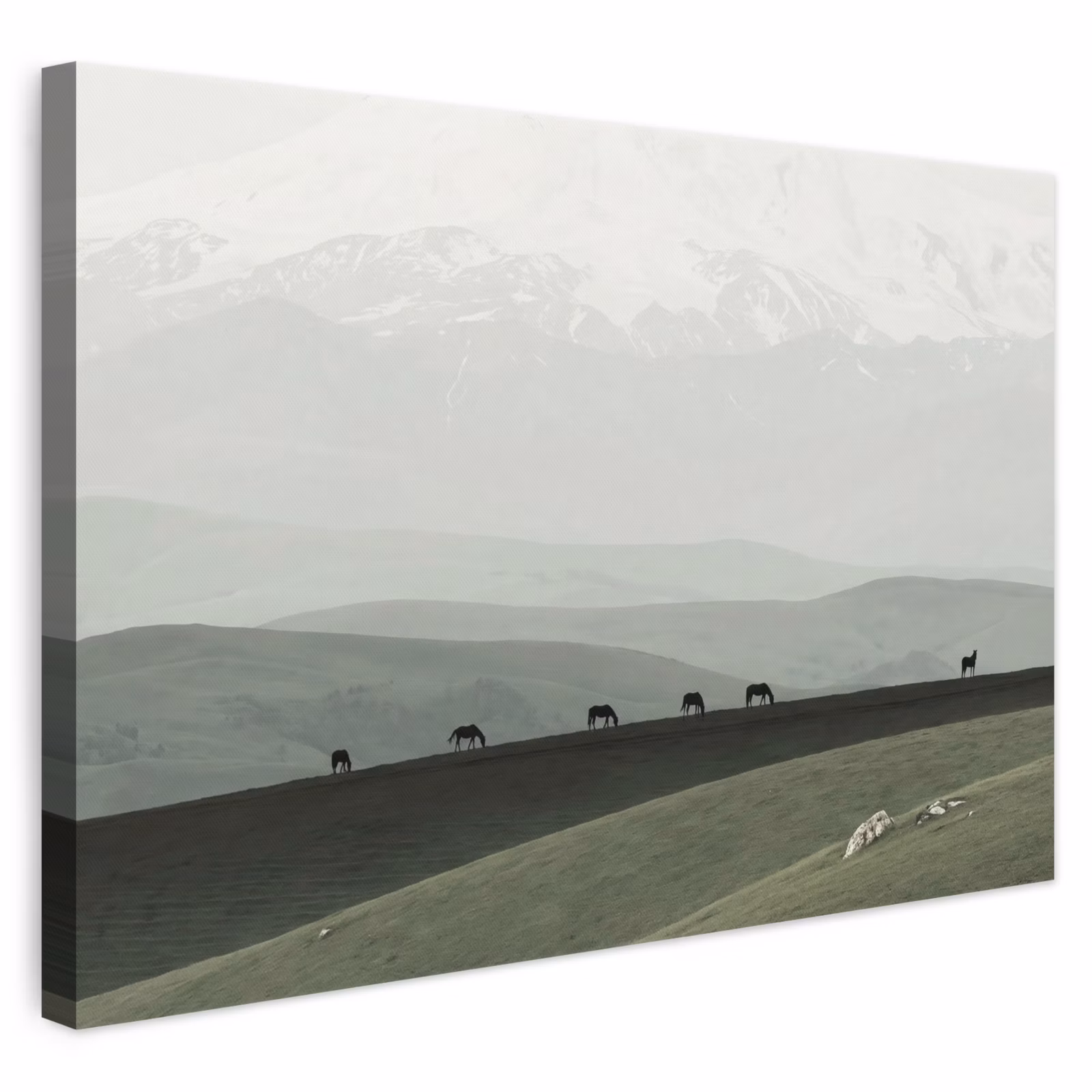 Leinwandbild - Grau - Berg - Pferde — 1