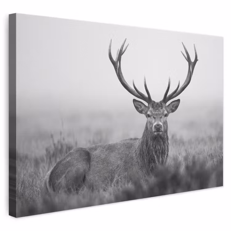 Leinwandbild - Hirsch - Neblig - Schwarz - Weiß — 1