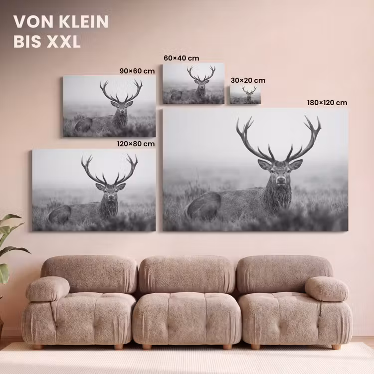 Leinwandbild - Hirsch - Neblig - Schwarz - Weiß — 6