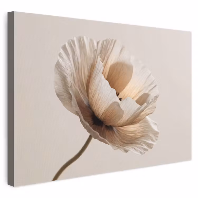 Leinwandbild - Blume - Beige - Creme — 1
