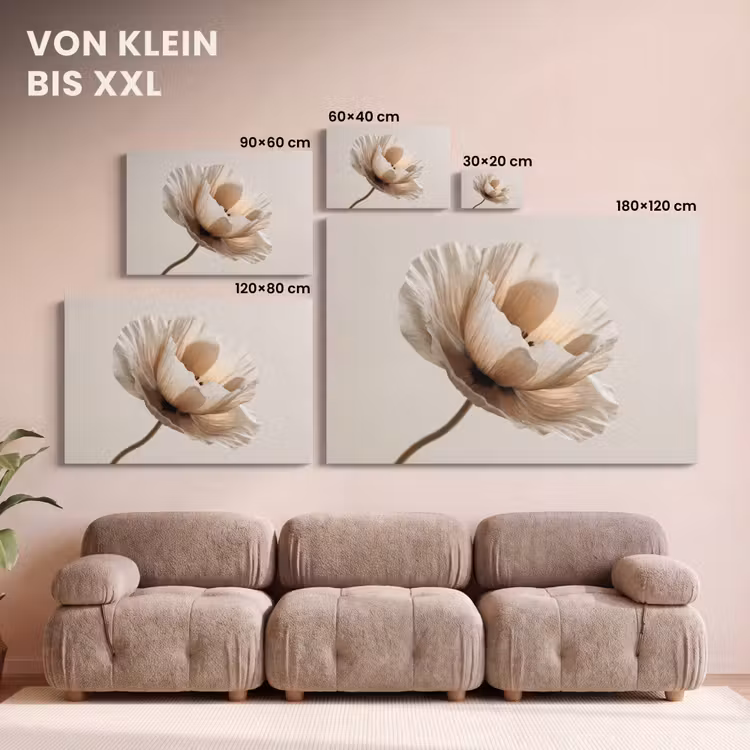 Leinwandbild - Blume - Beige - Creme — 6