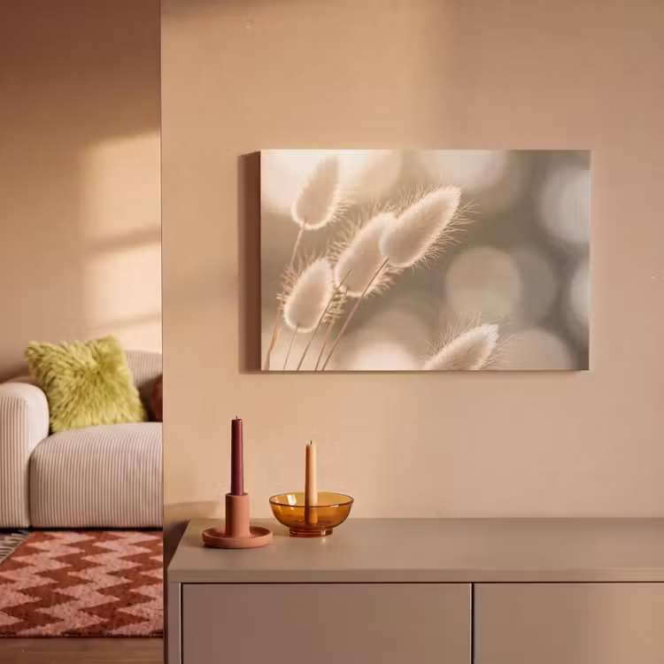 Leinwandbild - Haselschwanzgras - Weiß - Sonnenlicht — 2