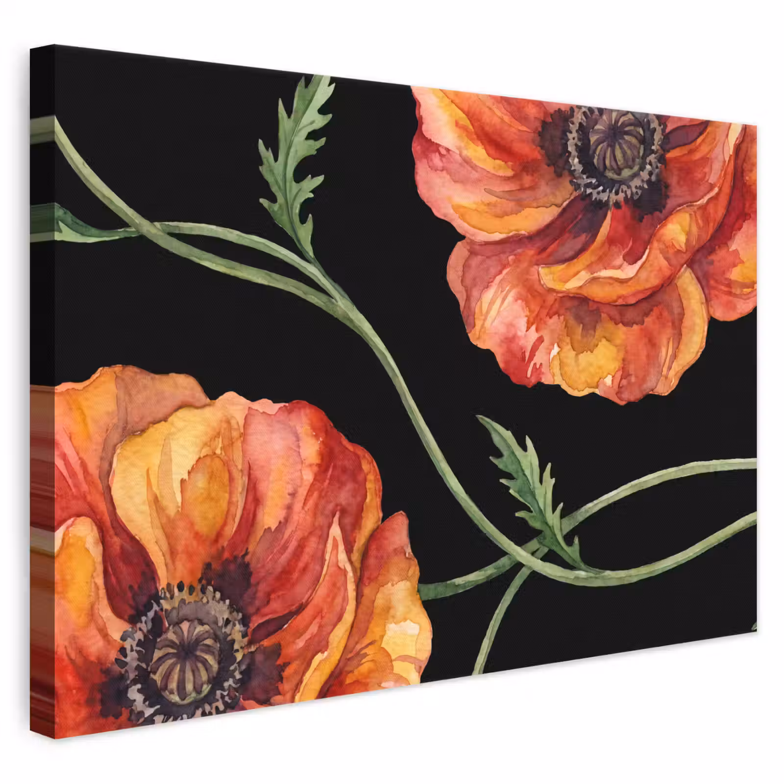 Leinwandbild - Blumen – Aquarell – Schwarz — 1