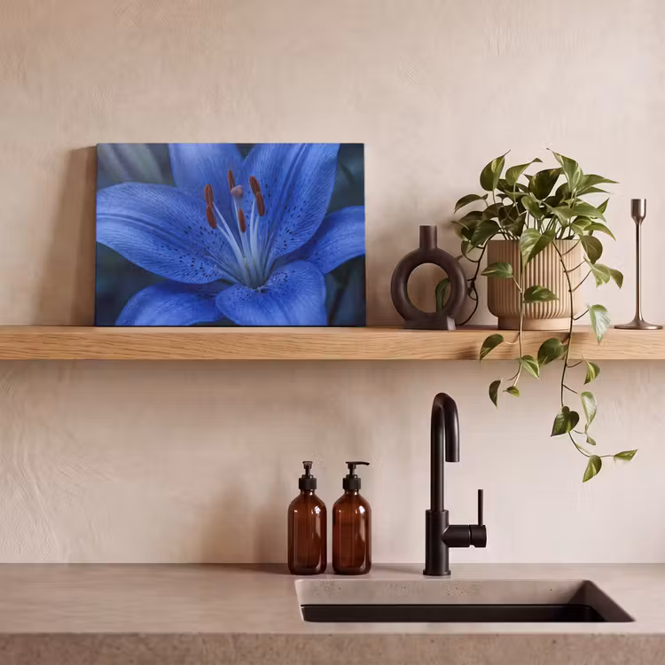 Leinwandbild - Blaue Blume – Natur — 3