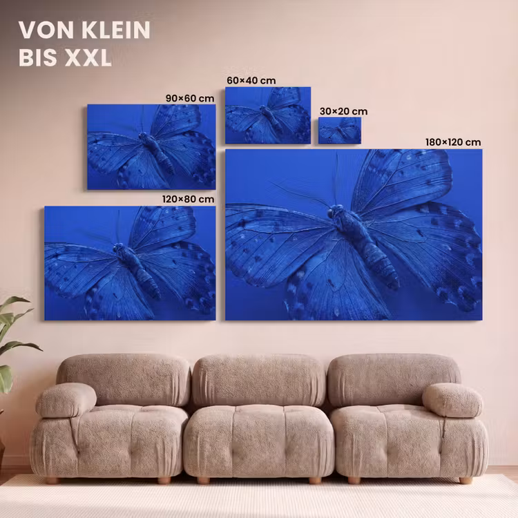Leinwandbild - Blauer Schmetterling – Insekt — 6