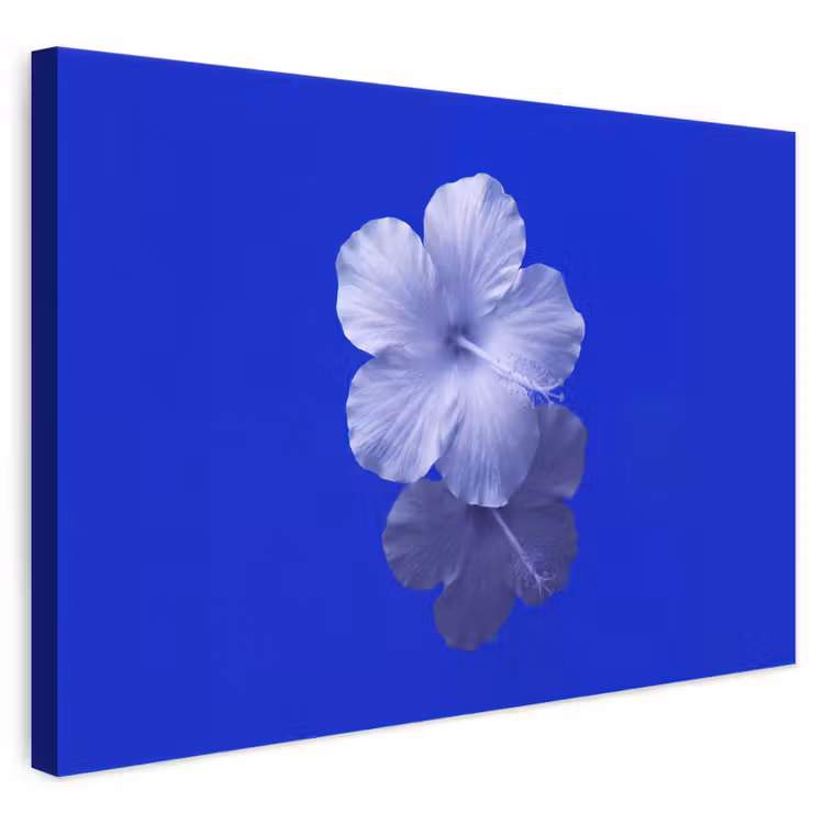 Leinwandbild - Blumen – Blau – Natur — 1
