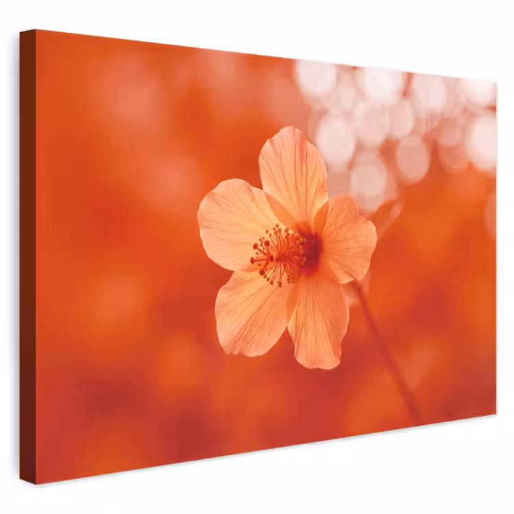Leinwandbild - Orangefarbene Blume – Makro — 1