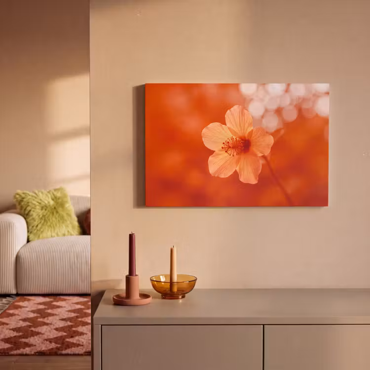 Leinwandbild - Orangefarbene Blume – Makro — 2