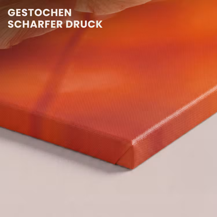 Leinwandbild - Orangefarbene Blume – Makro — 4