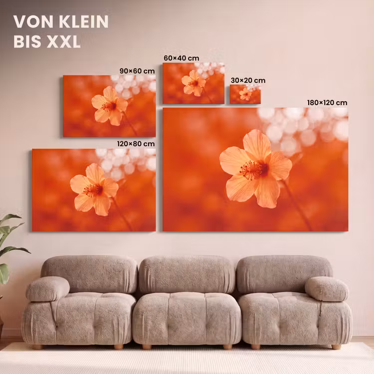 Leinwandbild - Orangefarbene Blume – Makro — 6
