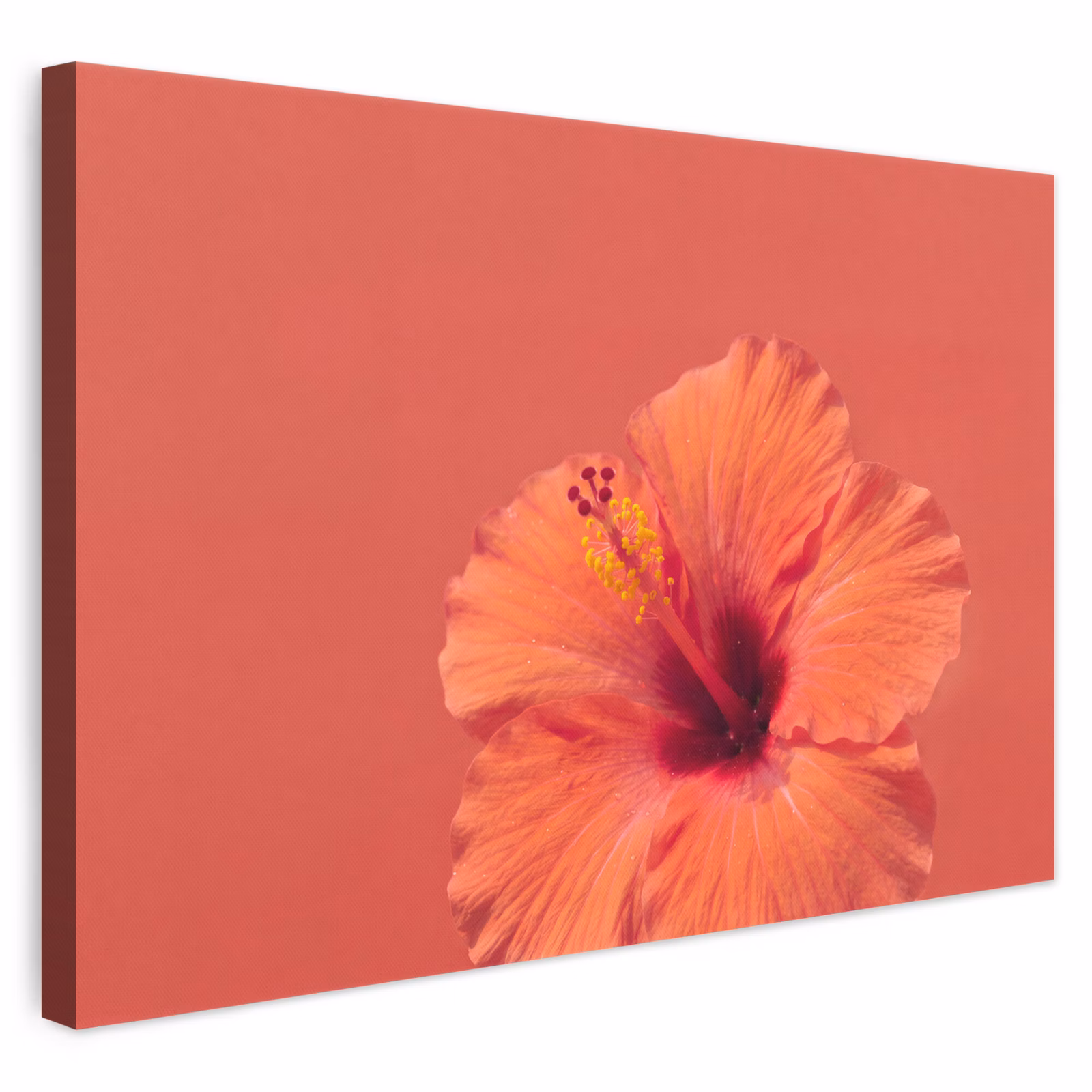 Leinwandbild - Blumen – Orange – Natur — 1
