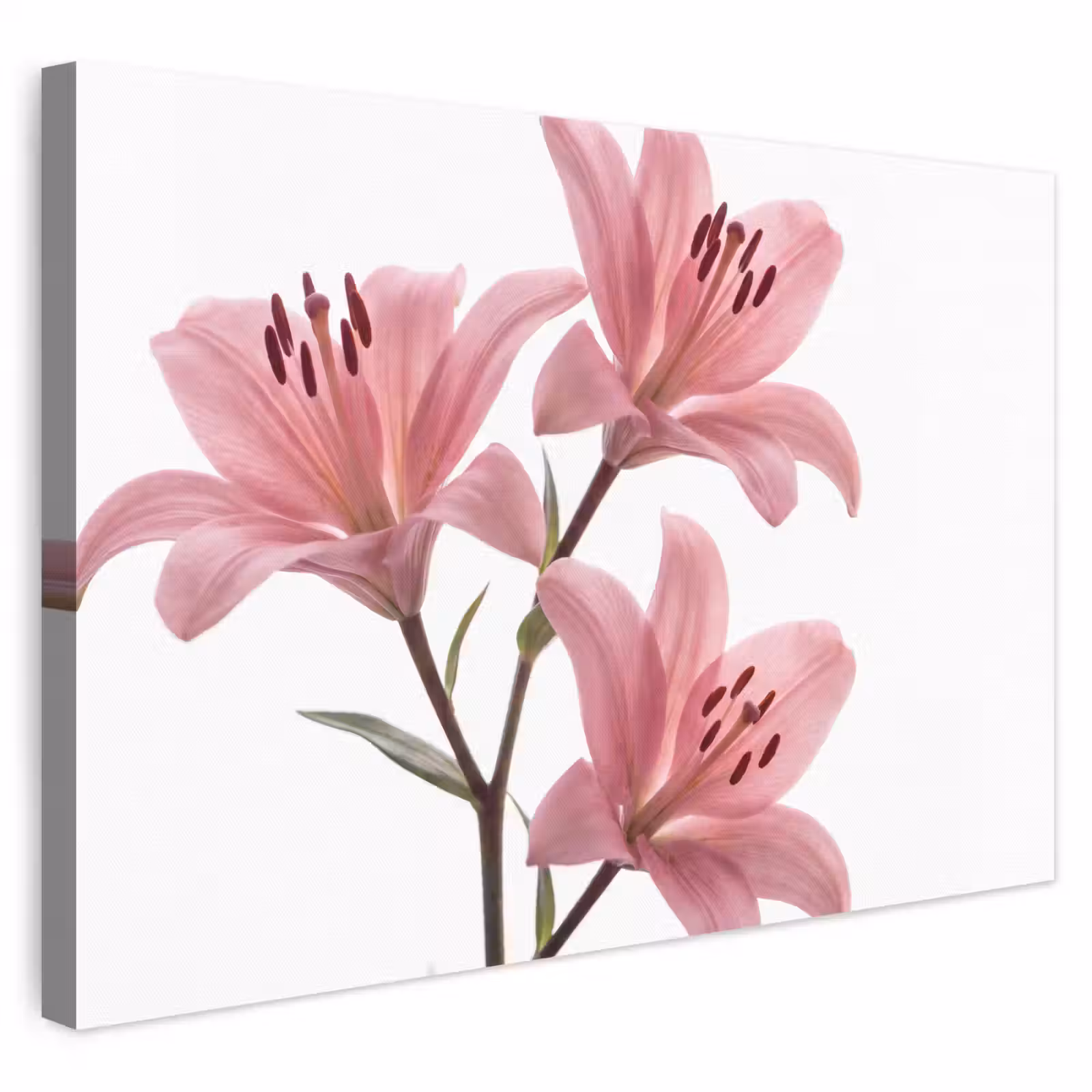 Leinwandbild - Blumen – Sanft – Modern — 1