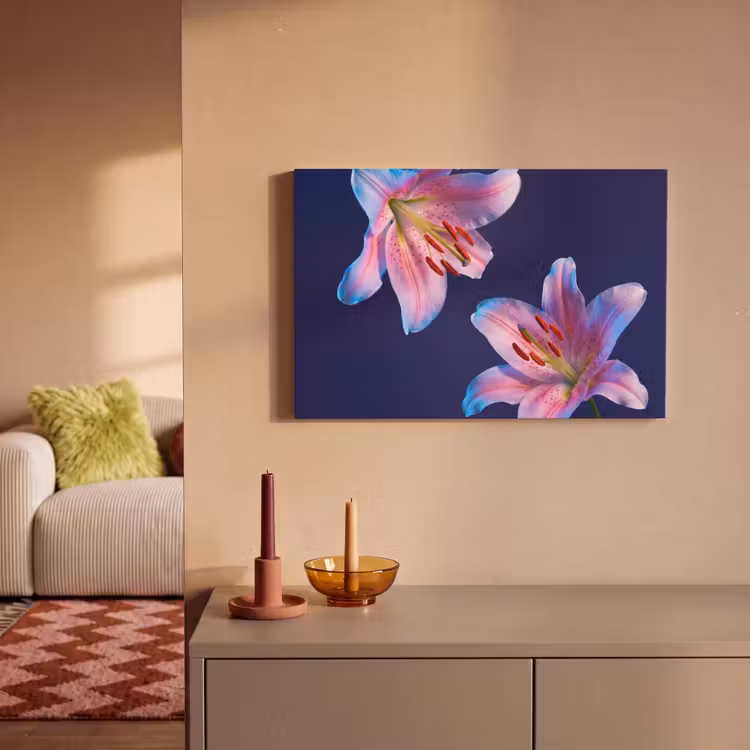 Leinwandbild - Blumen – Farbenfroh – Botanisch — 2