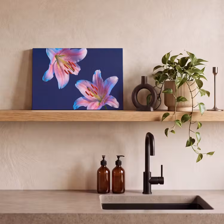 Leinwandbild - Blumen – Farbenfroh – Botanisch — 3