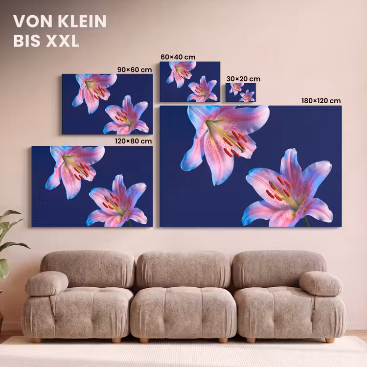 Leinwandbild - Blumen – Farbenfroh – Botanisch — 6