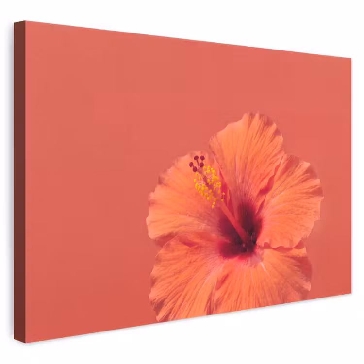 Leinwandbild - Blumen – Orange – Natur — 1