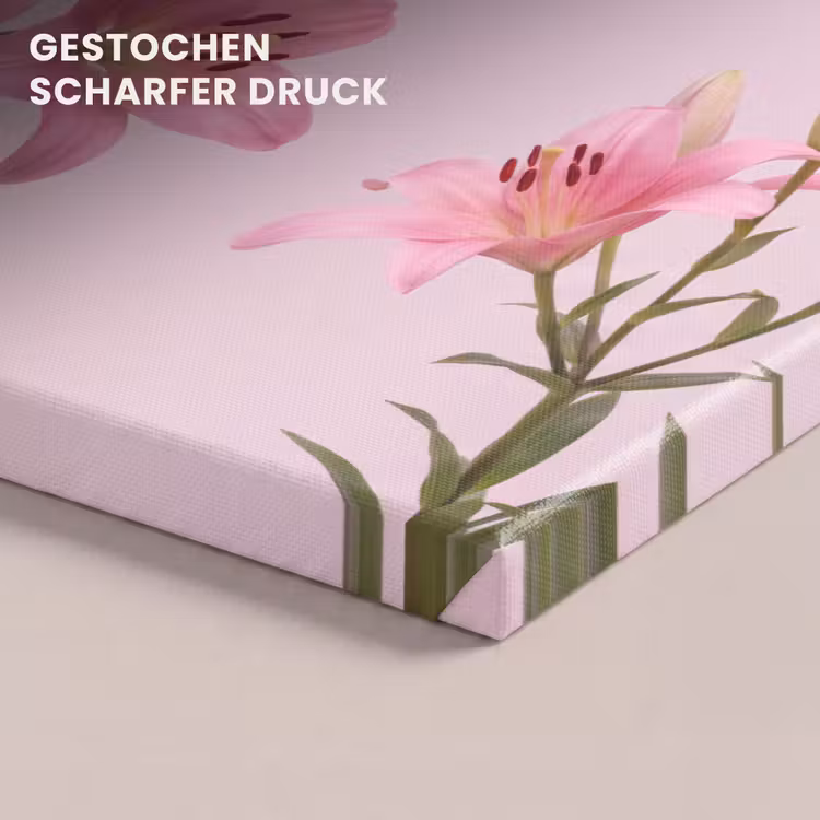 Leinwandbild - Blumen – Zart – Rosa — 4