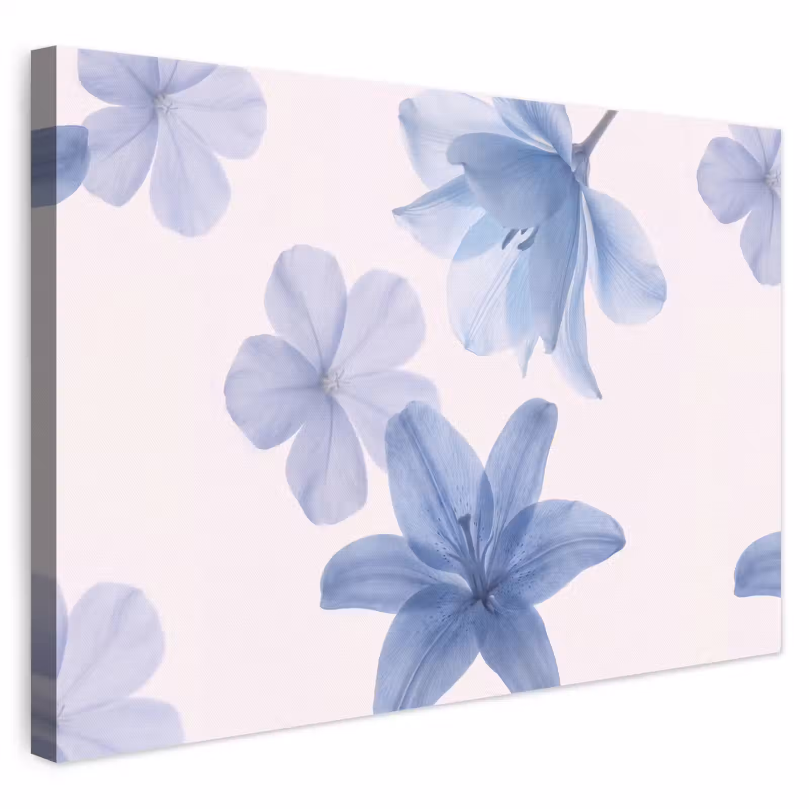 Leinwandbild - Blumen – Transparent – Modern — 1