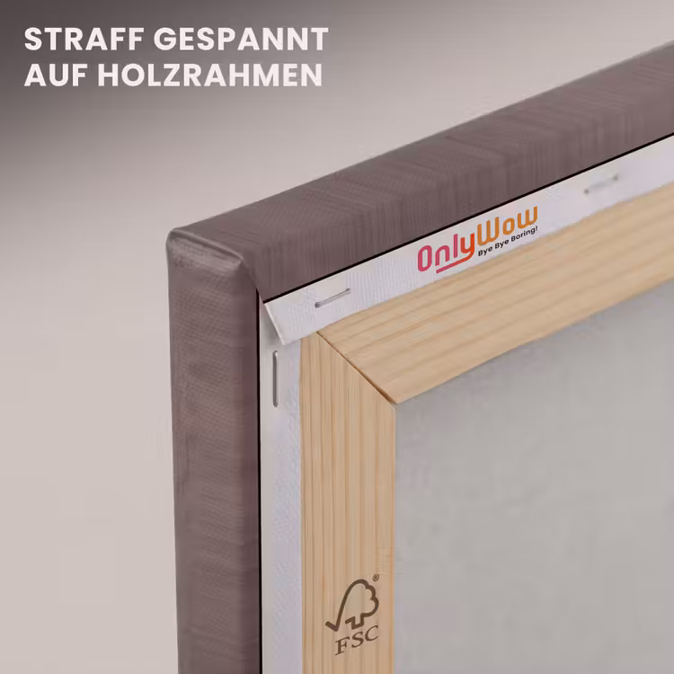 Leinwandbild - Baum – Kreis – Modern — 5
